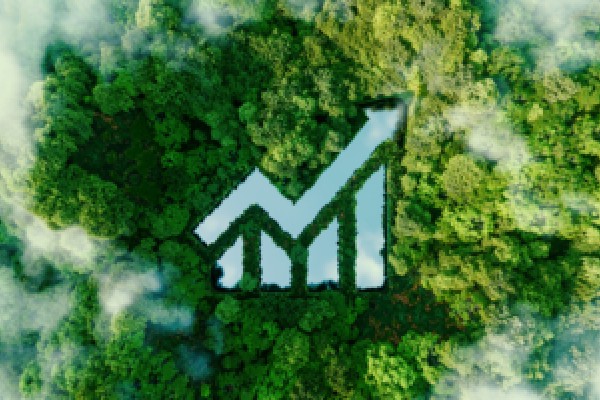 中东问题专家：以伊停火存在脆弱性，走向谈判仍需艰难过程